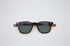 ARTHUR POLARIZED SUN