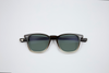 ARTHUR POLARIZED SUN
