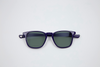 ARTHUR POLARIZED SUN